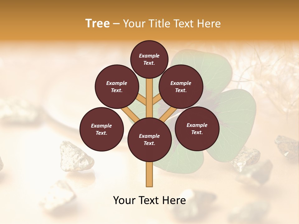 Schaumwein Konzept Feier PowerPoint Template