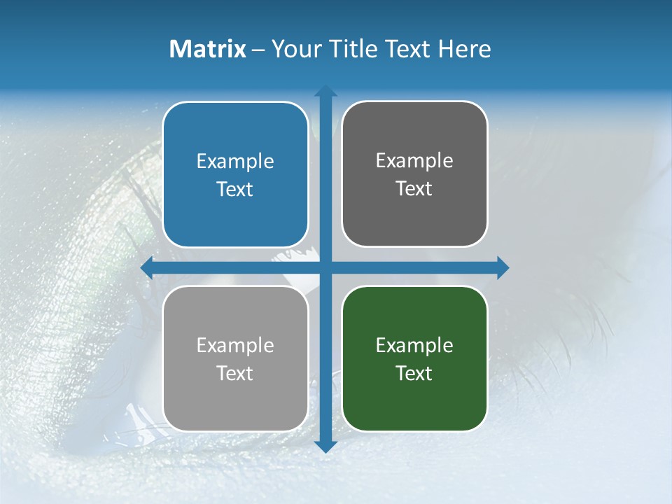 Iris Elegant Vogue PowerPoint Template