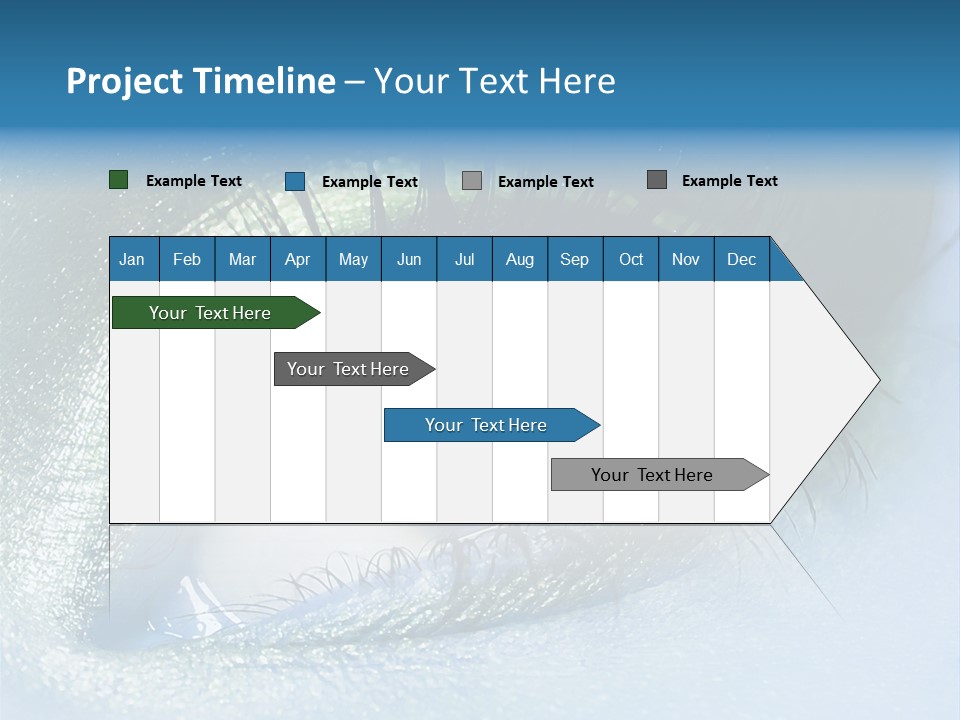 Iris Elegant Vogue PowerPoint Template