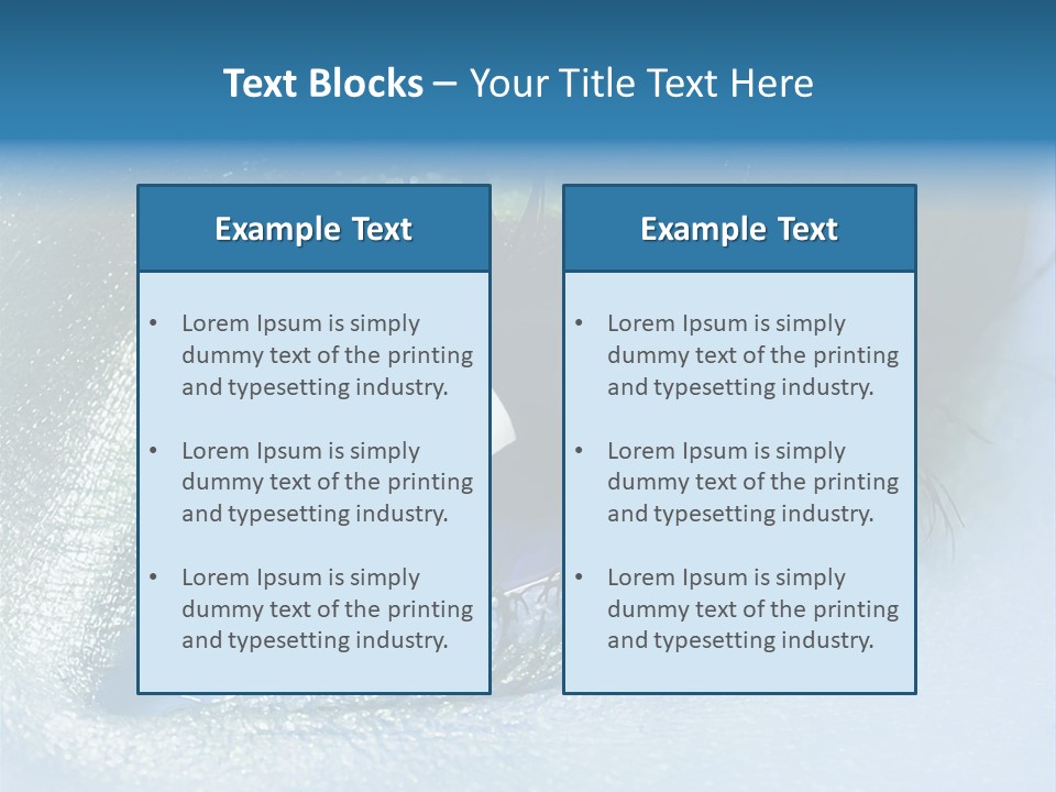 Iris Elegant Vogue PowerPoint Template