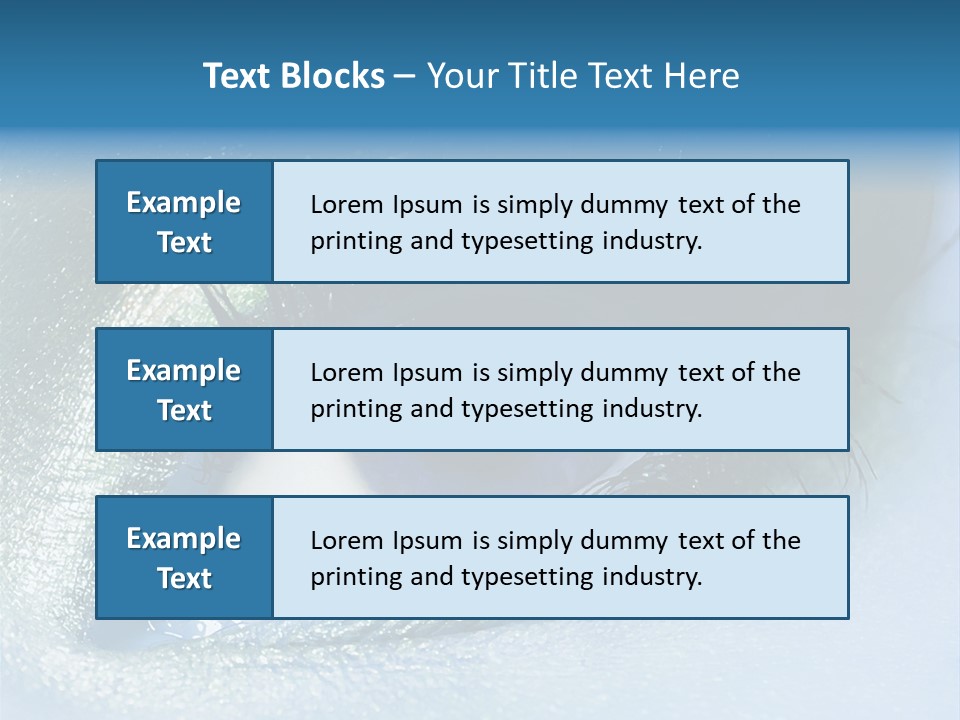 Iris Elegant Vogue PowerPoint Template