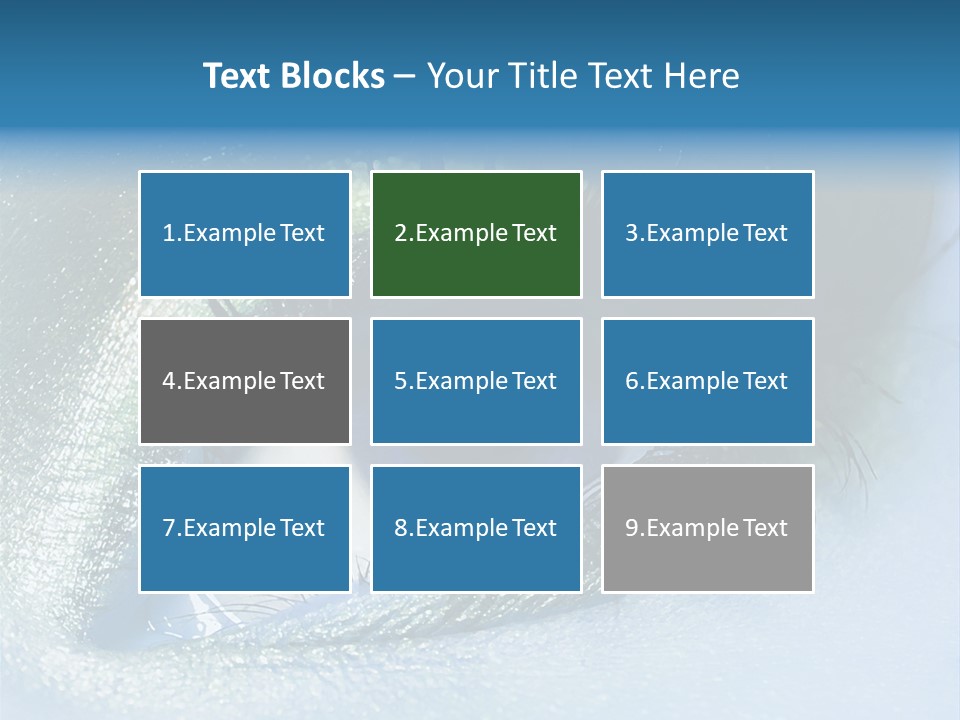 Iris Elegant Vogue PowerPoint Template