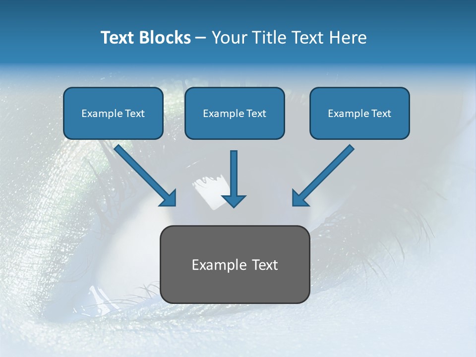 Iris Elegant Vogue PowerPoint Template