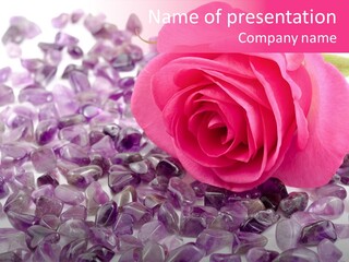 Sauce Dip Gem PowerPoint Template