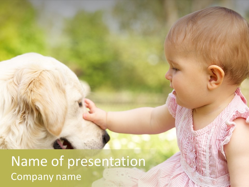 Pet Smiling Stroking PowerPoint Template