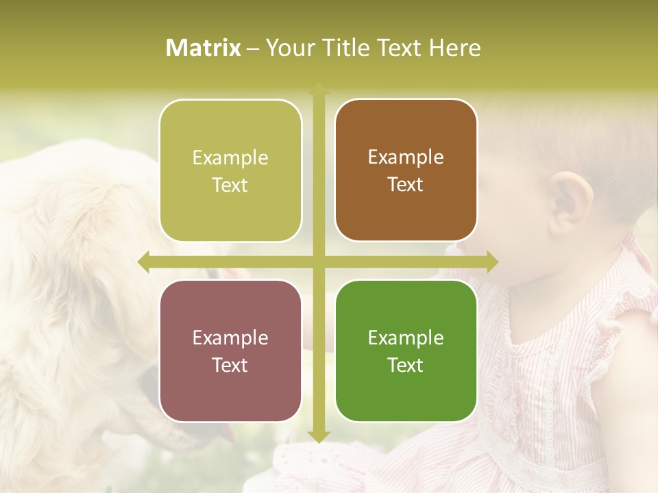 Pet Smiling Stroking PowerPoint Template