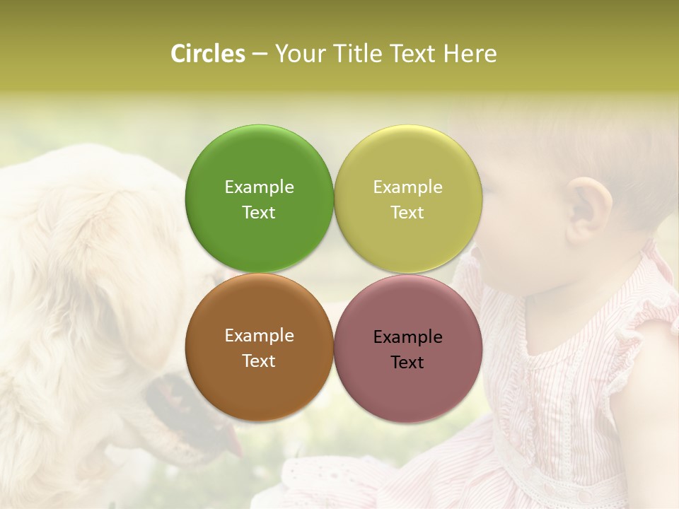 Pet Smiling Stroking PowerPoint Template