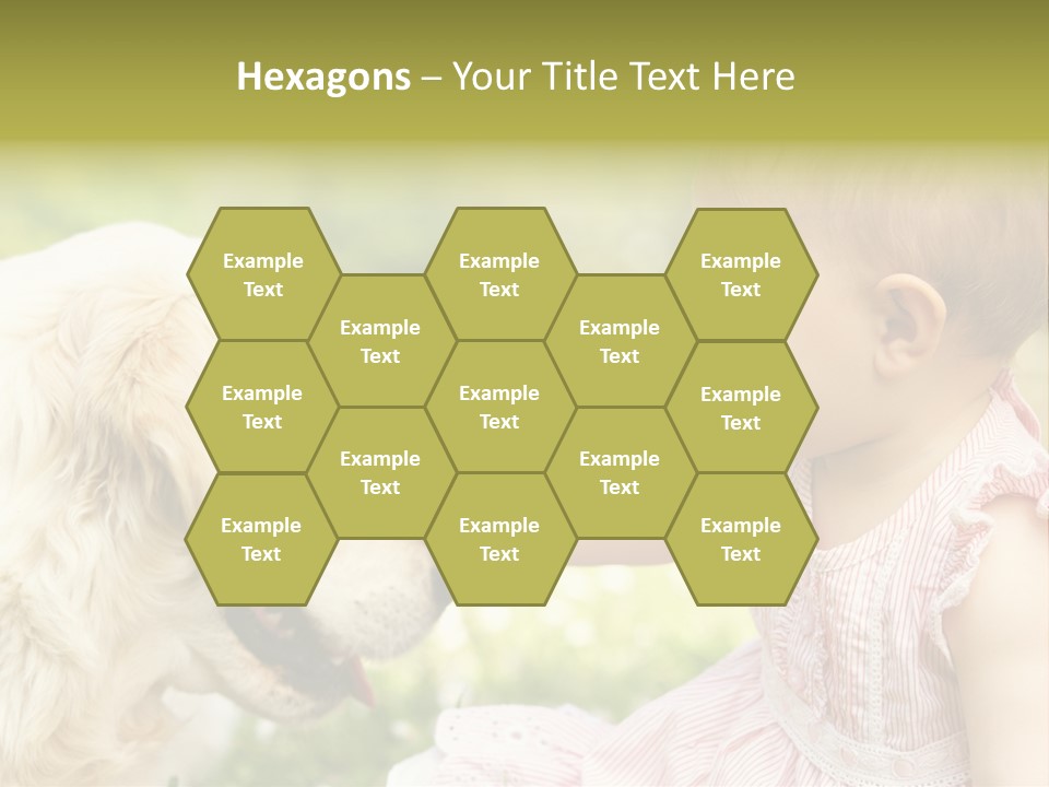 Pet Smiling Stroking PowerPoint Template