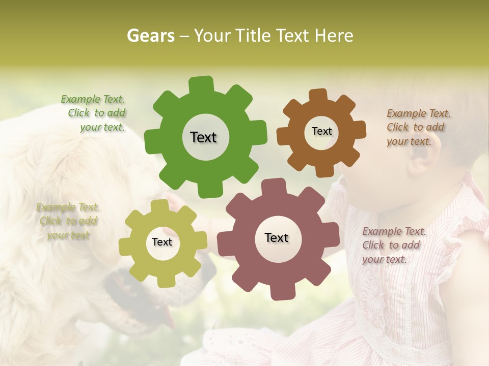 Pet Smiling Stroking PowerPoint Template