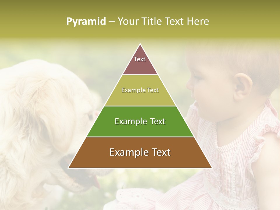 Pet Smiling Stroking PowerPoint Template