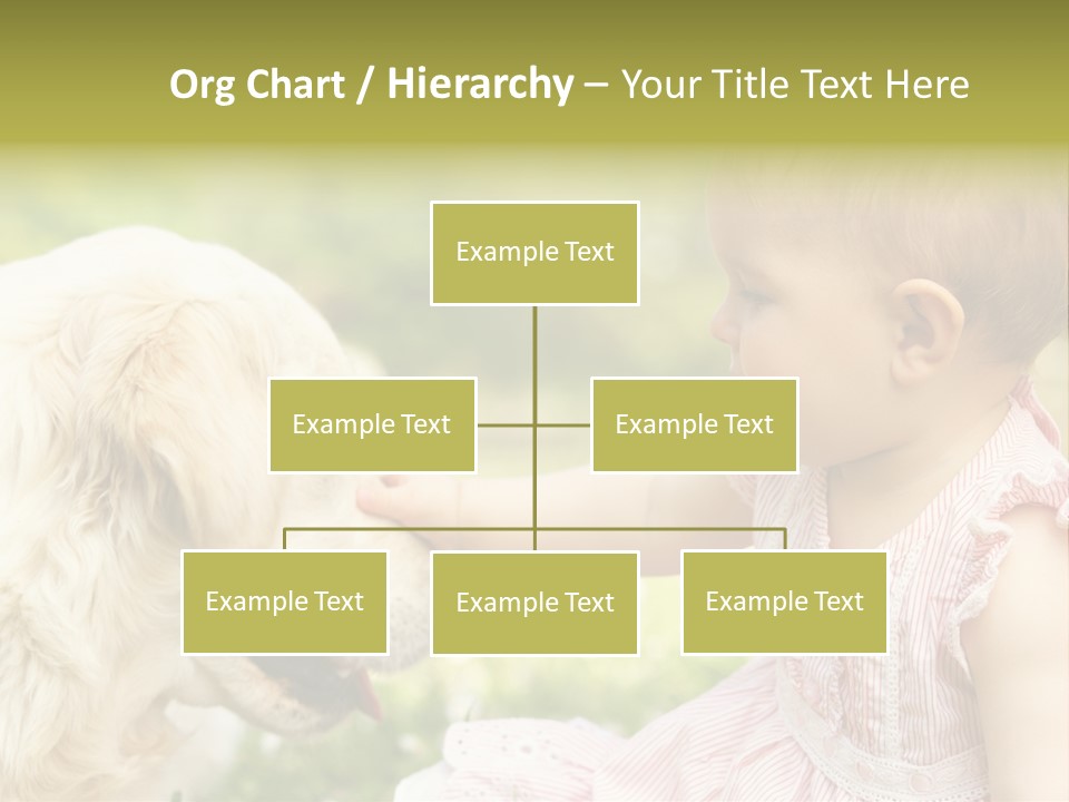 Pet Smiling Stroking PowerPoint Template