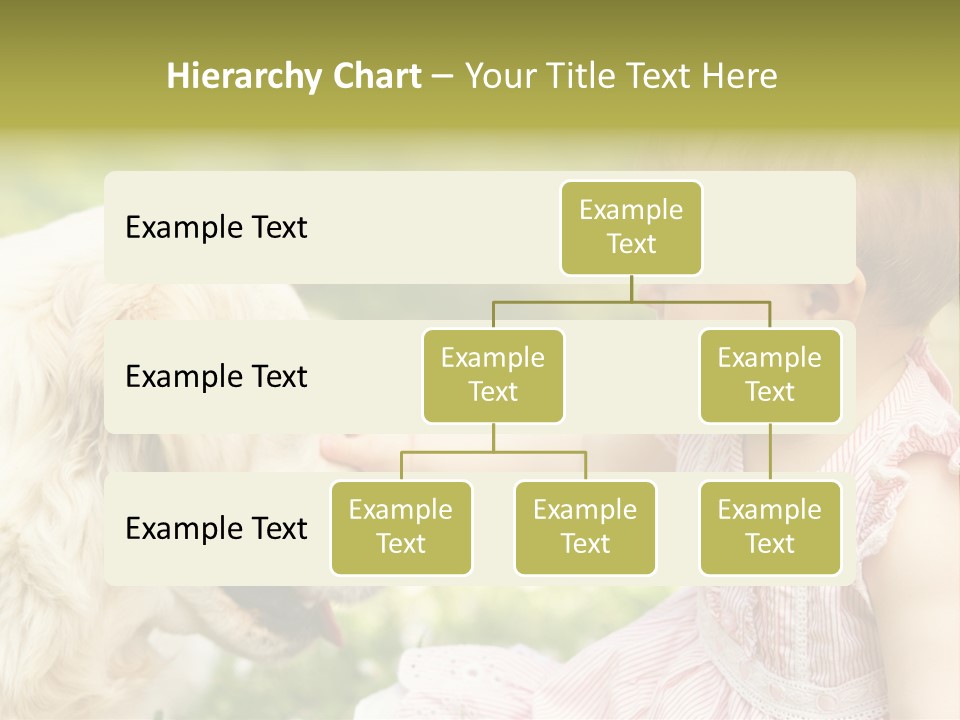 Pet Smiling Stroking PowerPoint Template