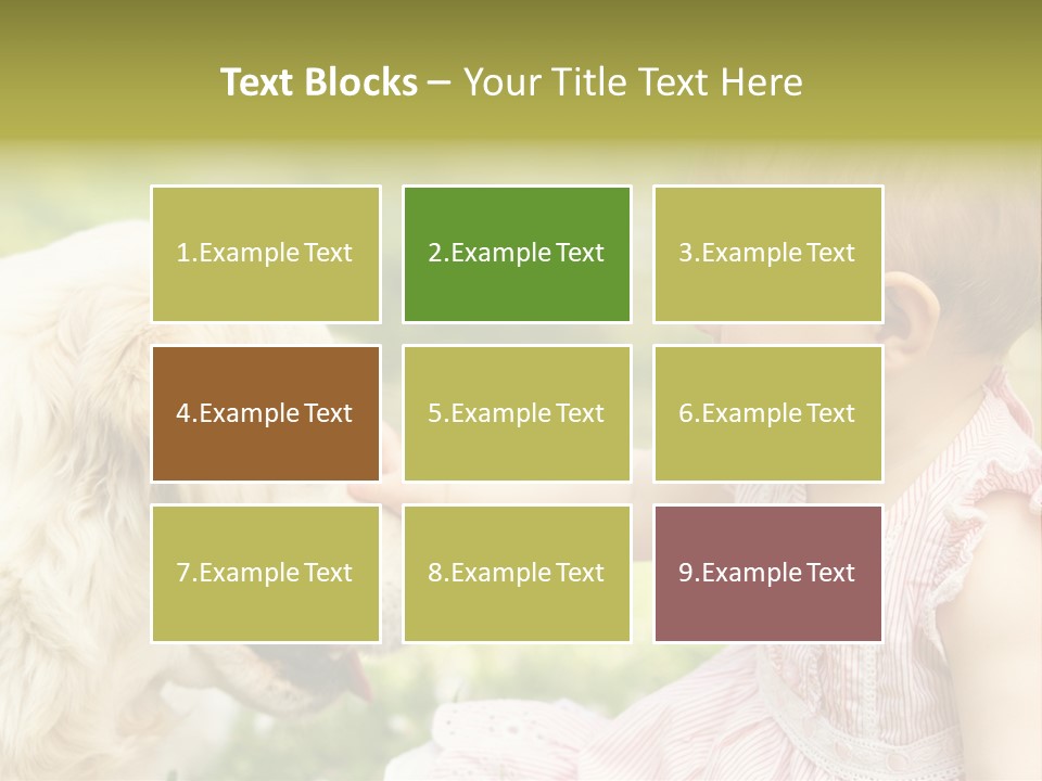 Pet Smiling Stroking PowerPoint Template