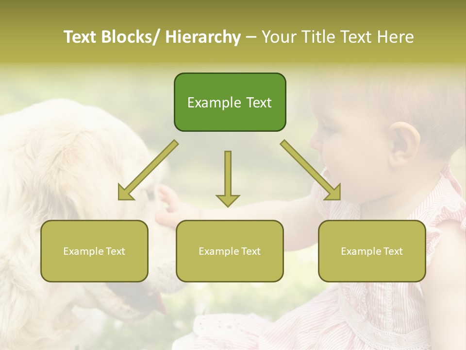 Pet Smiling Stroking PowerPoint Template