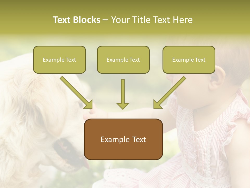 Pet Smiling Stroking PowerPoint Template