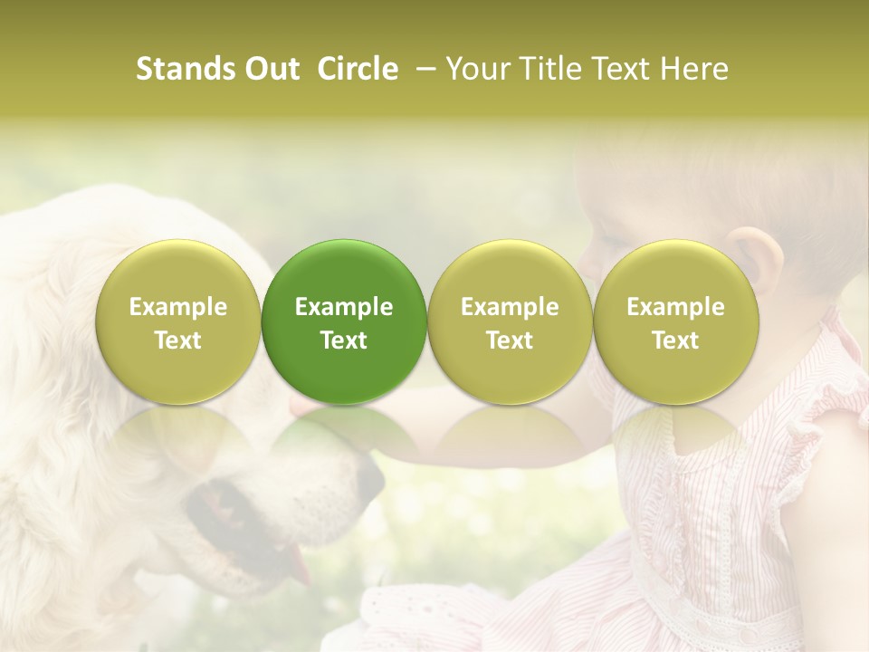 Pet Smiling Stroking PowerPoint Template