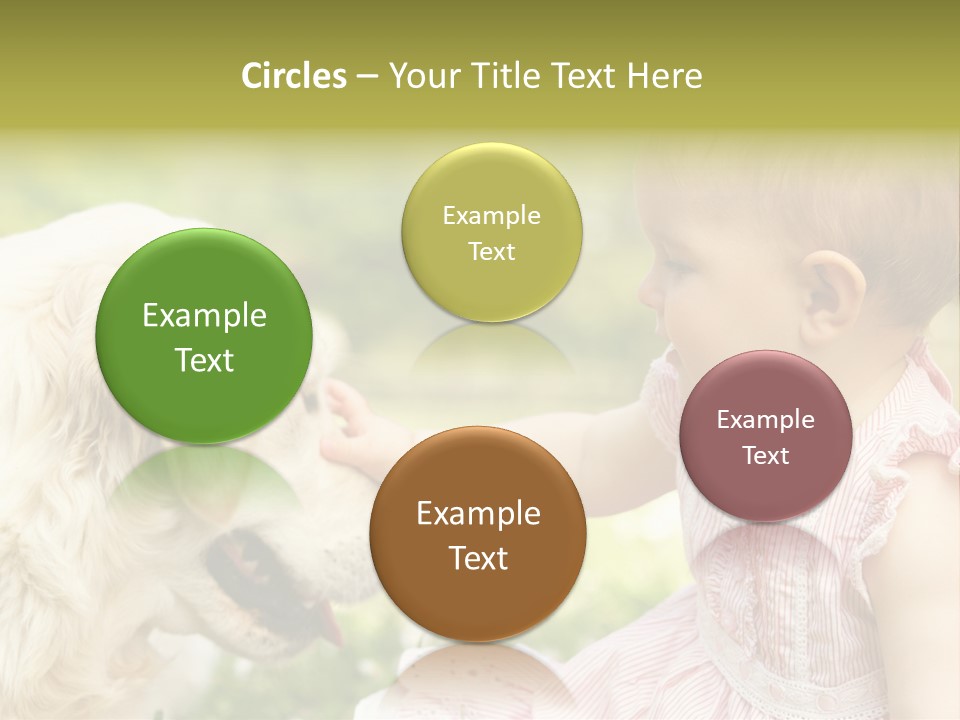 Pet Smiling Stroking PowerPoint Template