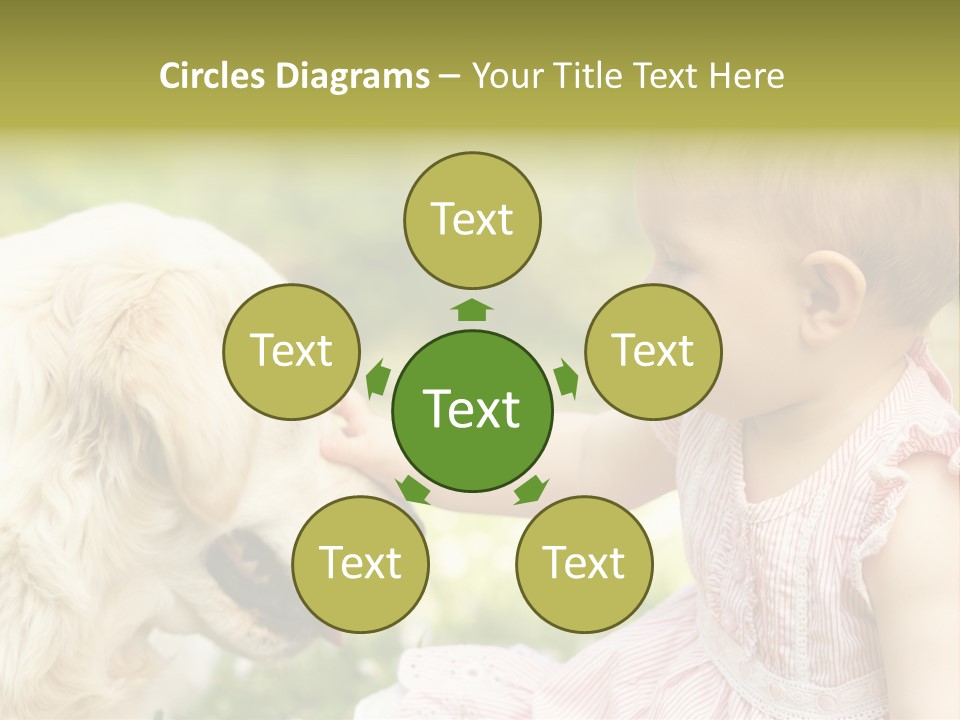 Pet Smiling Stroking PowerPoint Template