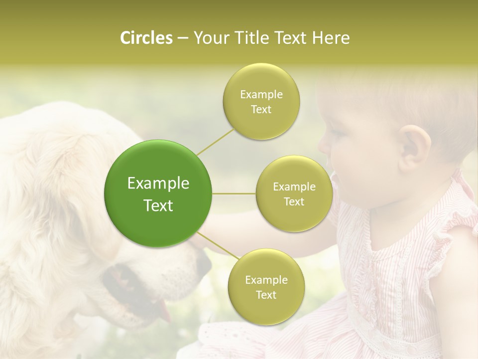 Pet Smiling Stroking PowerPoint Template