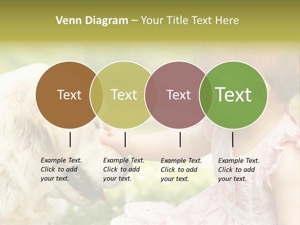 Pet Smiling Stroking PowerPoint Template