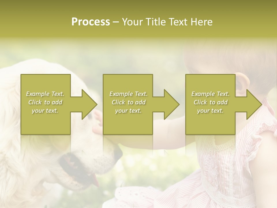 Pet Smiling Stroking PowerPoint Template