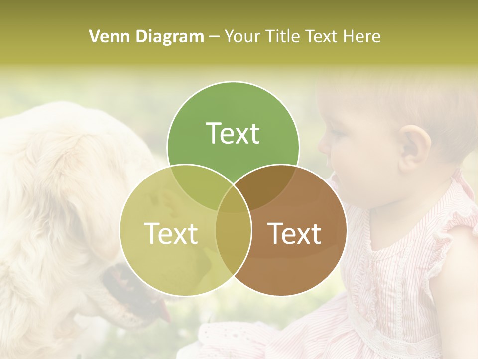 Pet Smiling Stroking PowerPoint Template