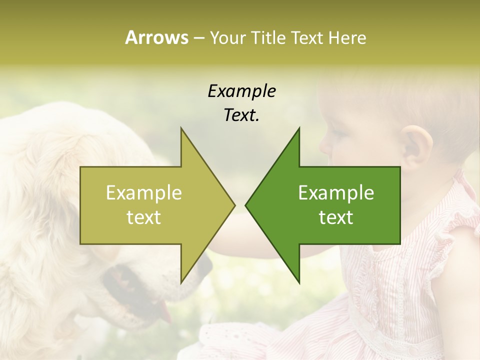 Pet Smiling Stroking PowerPoint Template