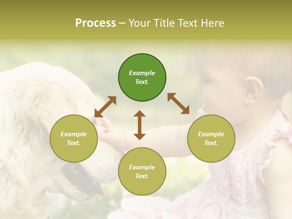 Pet Smiling Stroking PowerPoint Template