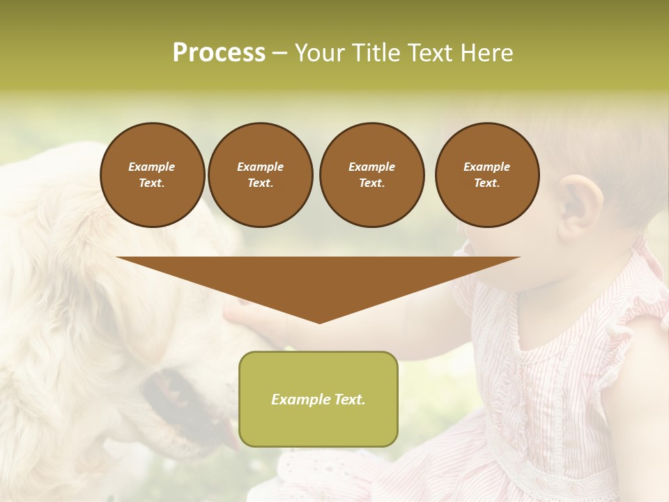 Pet Smiling Stroking PowerPoint Template