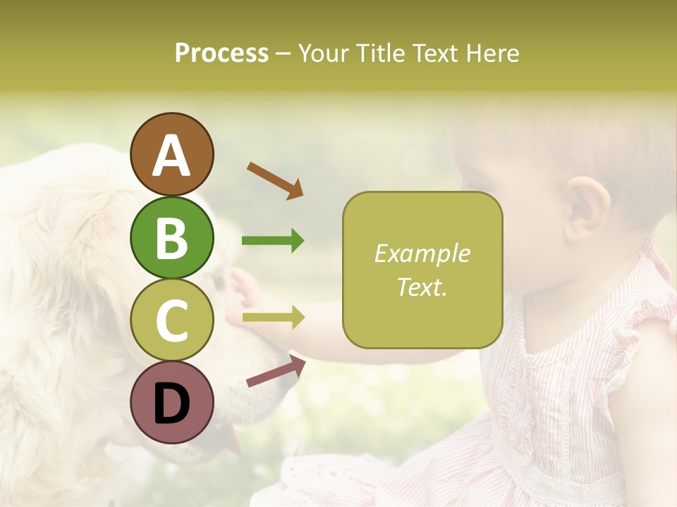Pet Smiling Stroking PowerPoint Template