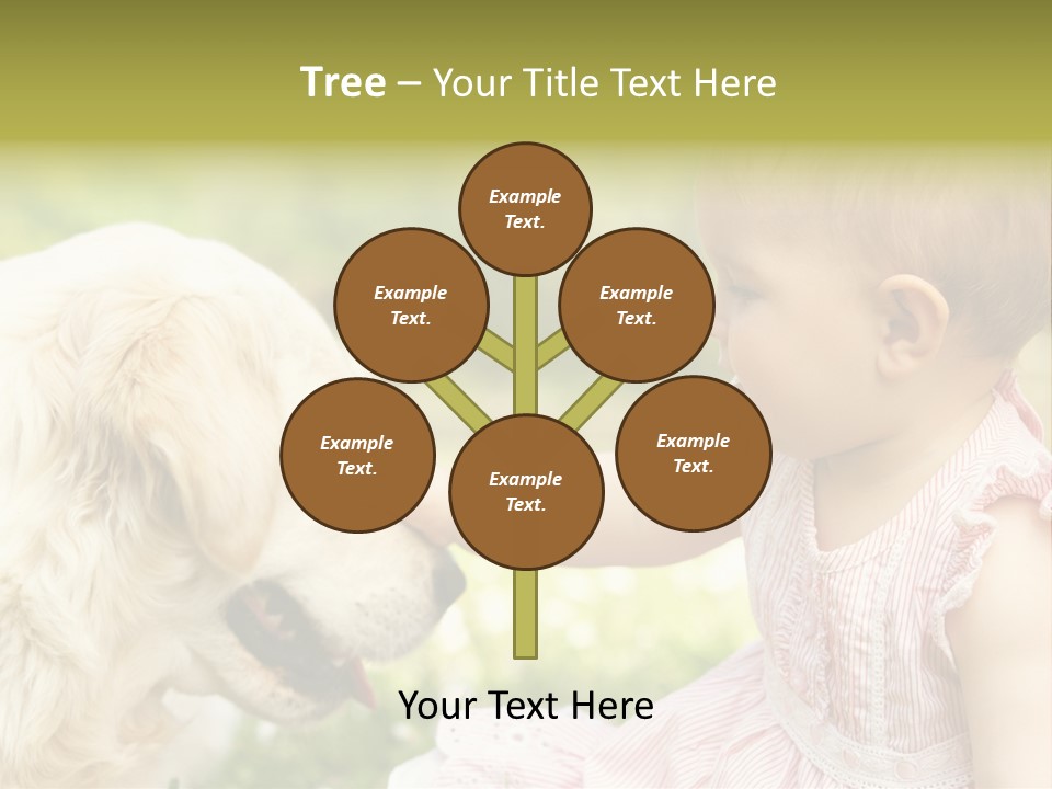 Pet Smiling Stroking PowerPoint Template