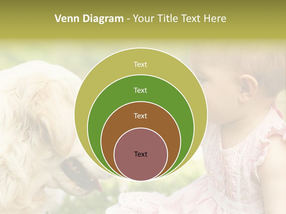 Pet Smiling Stroking PowerPoint Template