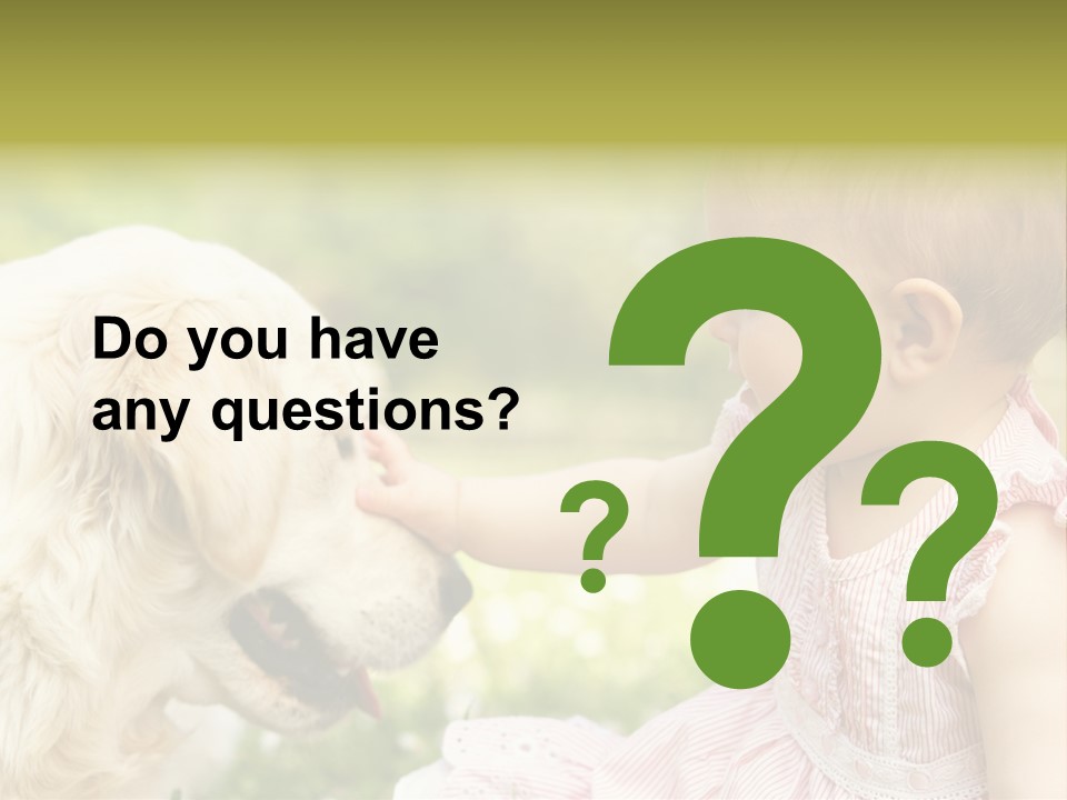 Pet Smiling Stroking PowerPoint Template