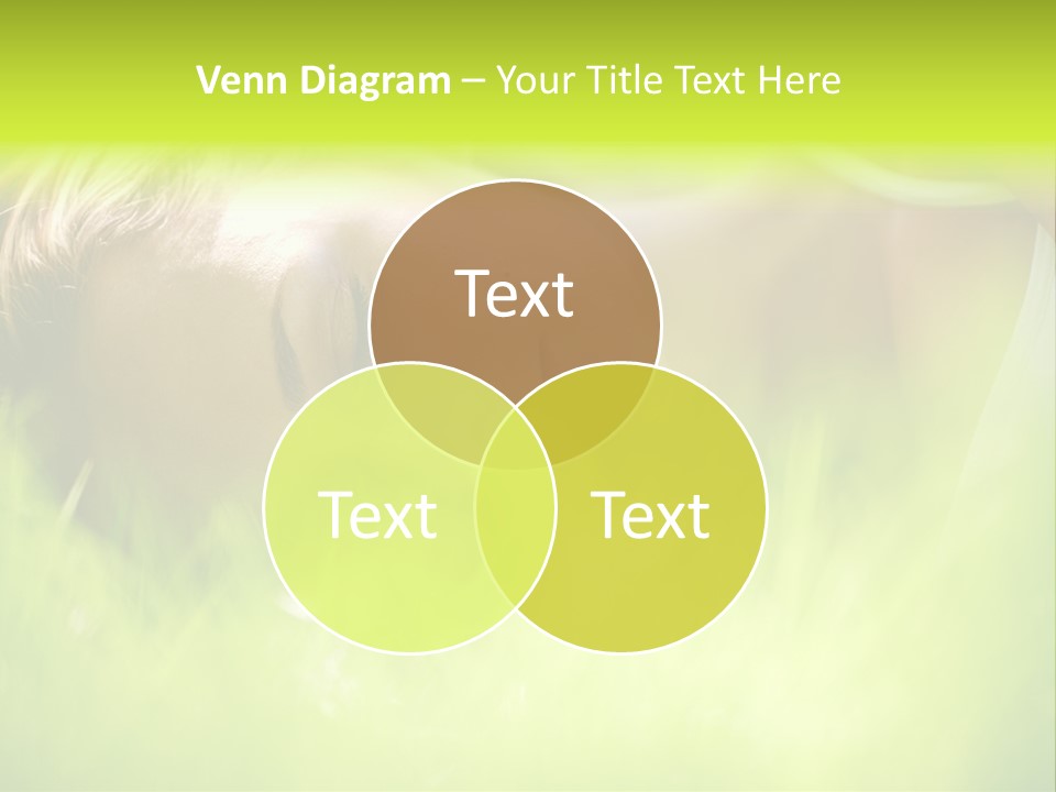 Girl Beautiful Tired PowerPoint Template