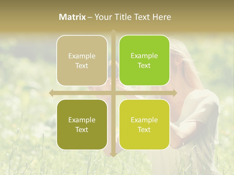 Grass Sunlight Beauty PowerPoint Template