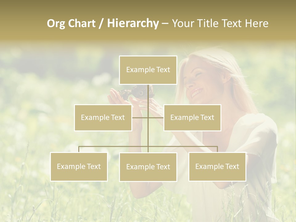 Grass Sunlight Beauty PowerPoint Template