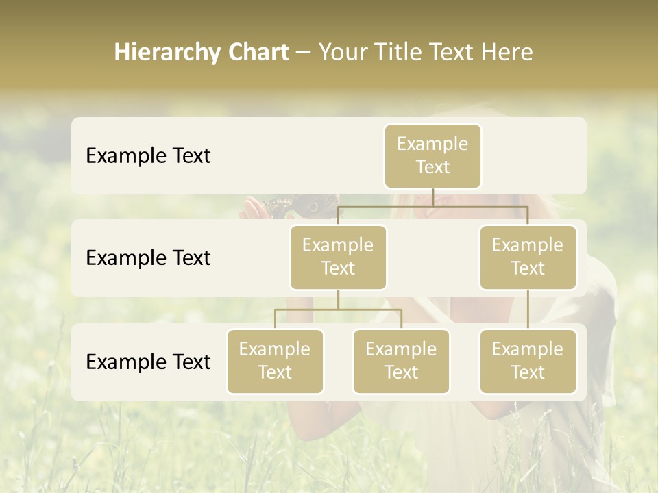 Grass Sunlight Beauty PowerPoint Template
