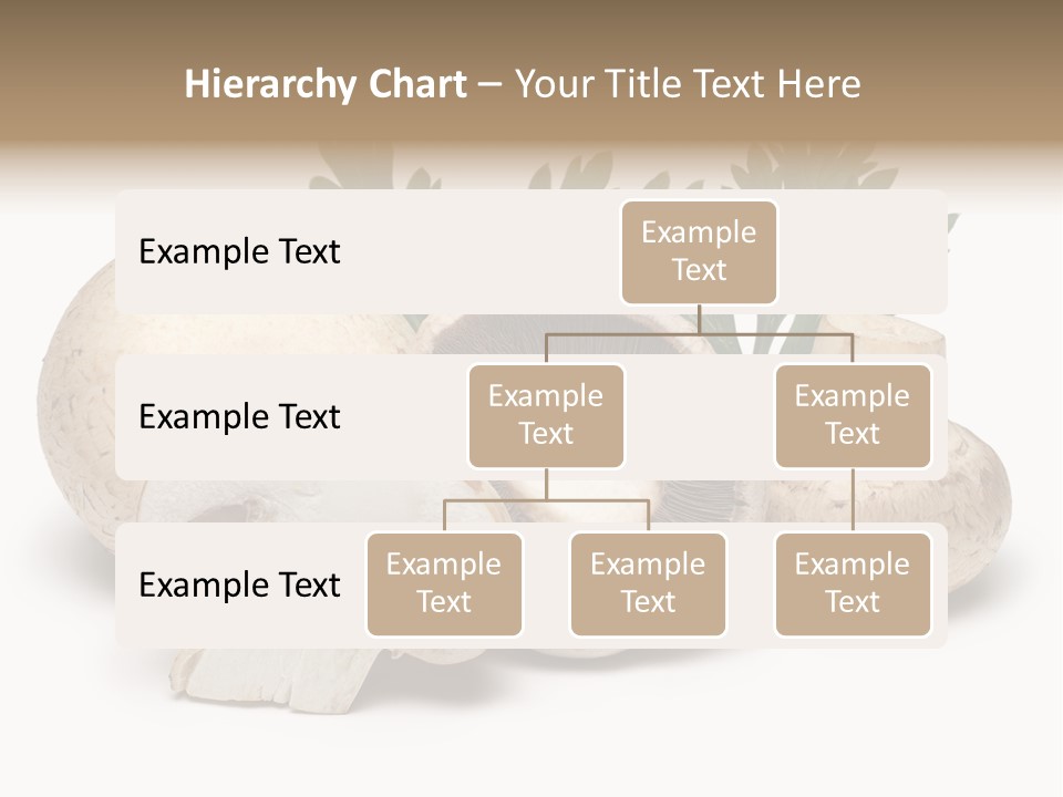 Isolated On White Brown Healthy Eating PowerPoint Template