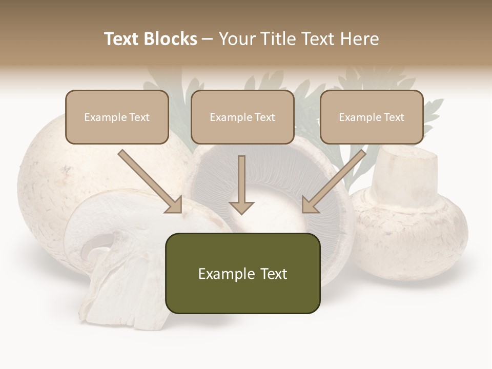 Isolated On White Brown Healthy Eating PowerPoint Template