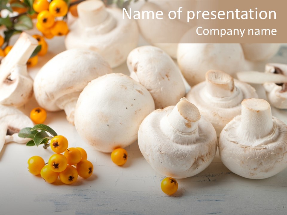 Raw Porcini Lifestyle PowerPoint Template