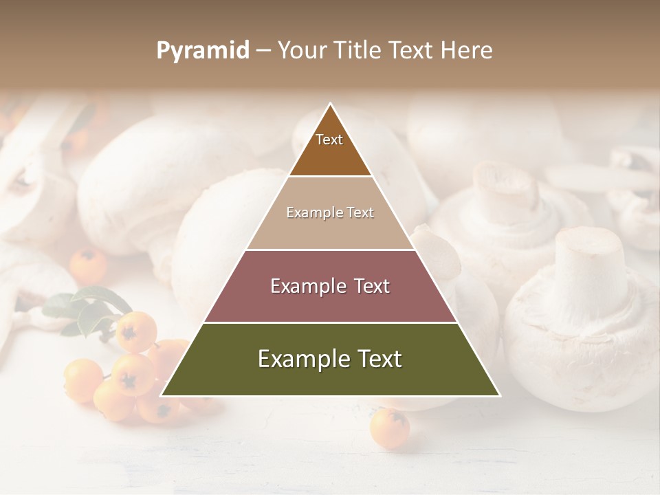 Raw Porcini Lifestyle PowerPoint Template