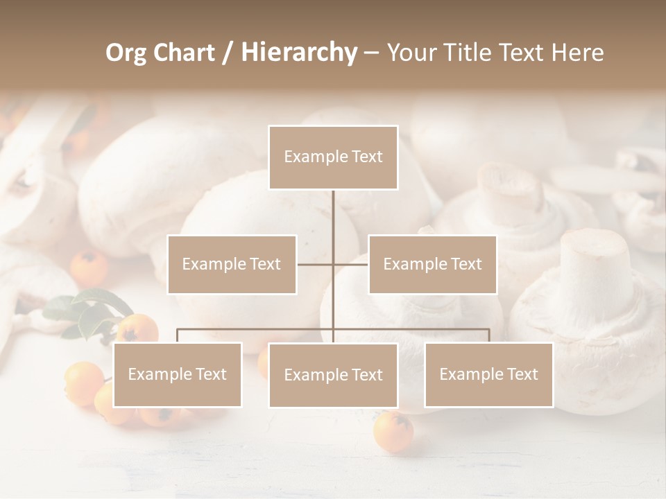 Raw Porcini Lifestyle PowerPoint Template