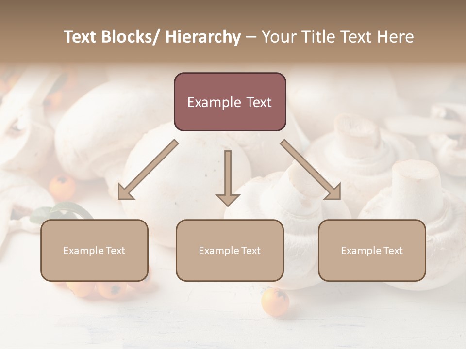 Raw Porcini Lifestyle PowerPoint Template