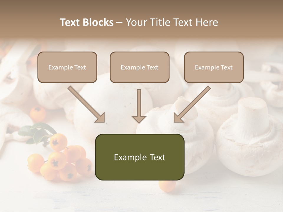 Raw Porcini Lifestyle PowerPoint Template