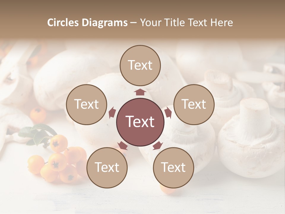 Raw Porcini Lifestyle PowerPoint Template