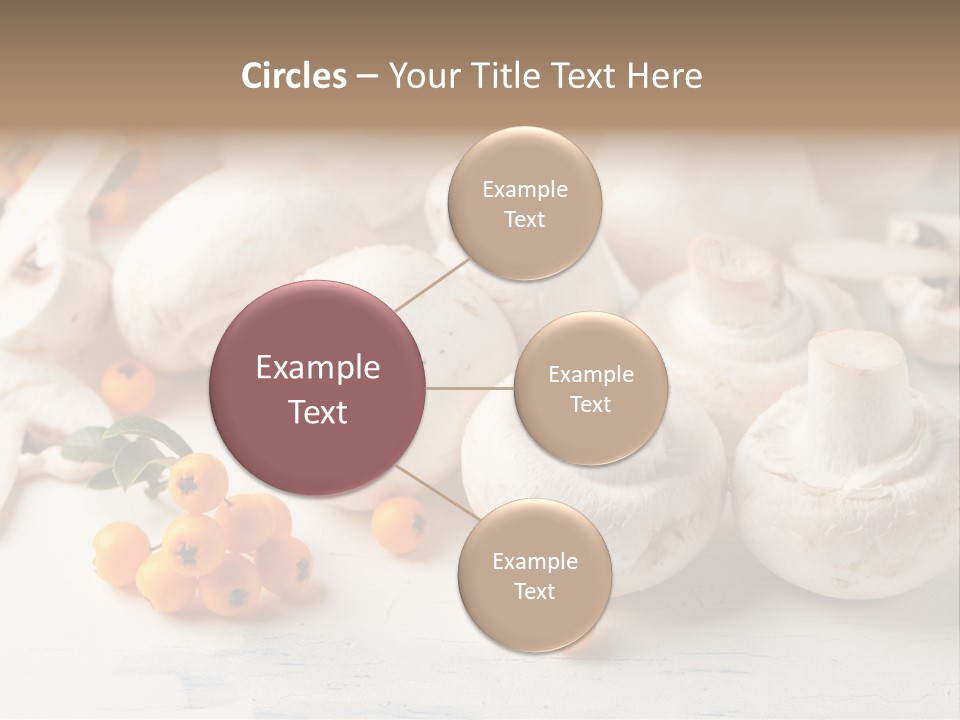 Raw Porcini Lifestyle PowerPoint Template