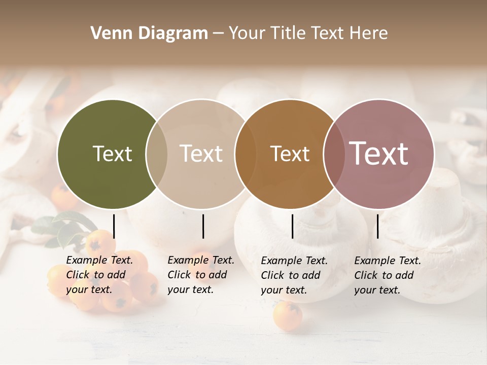 Raw Porcini Lifestyle PowerPoint Template