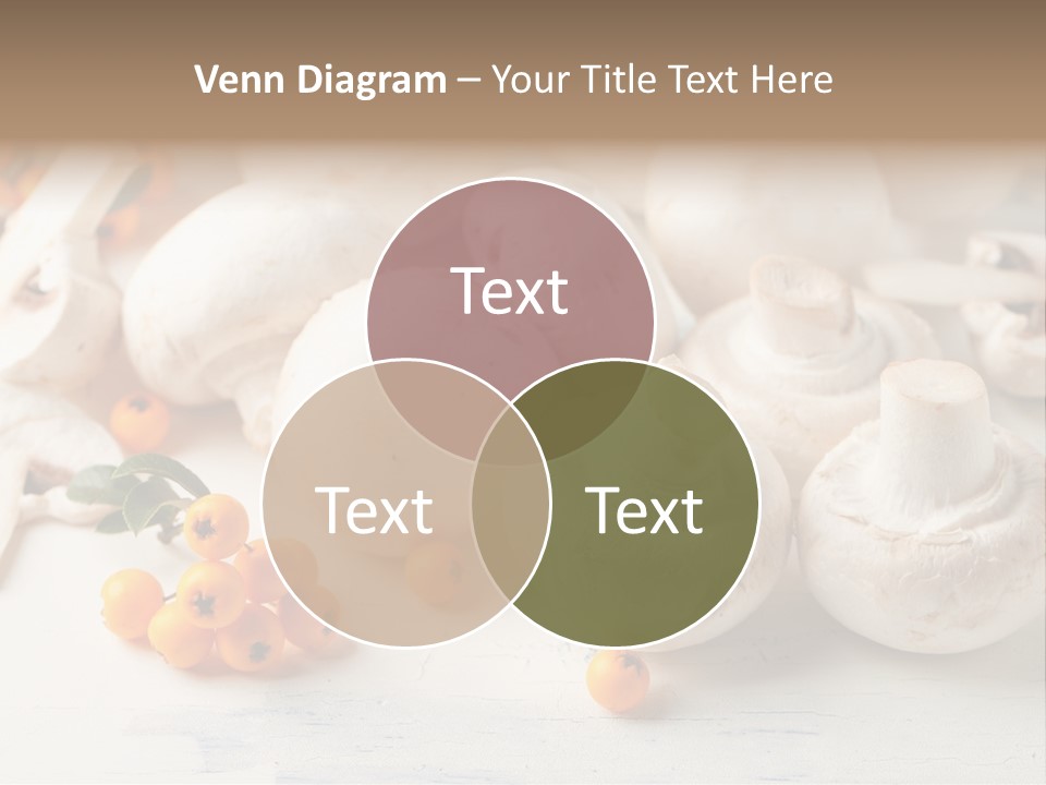 Raw Porcini Lifestyle PowerPoint Template