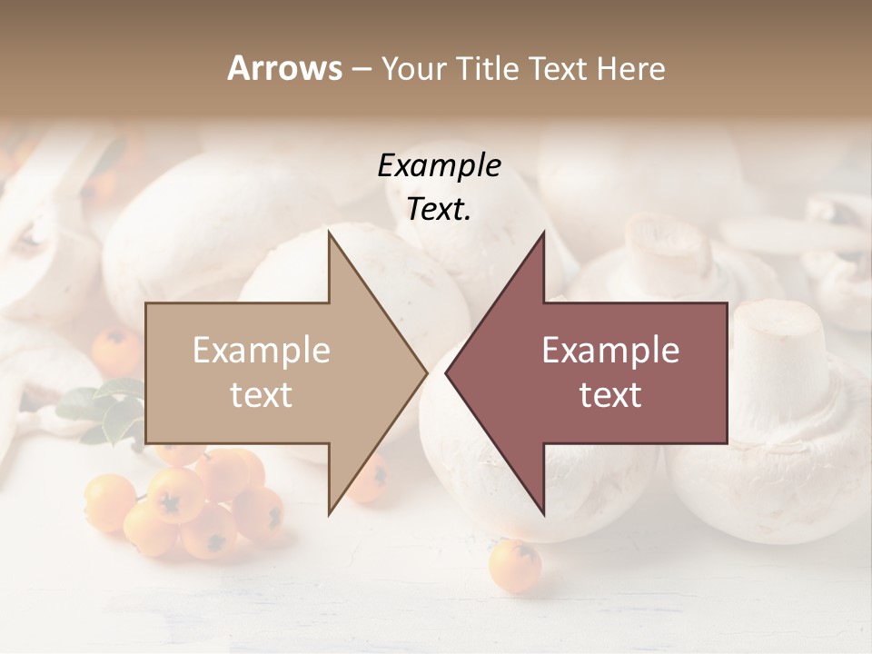 Raw Porcini Lifestyle PowerPoint Template