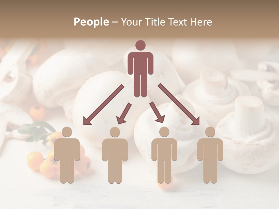 Raw Porcini Lifestyle PowerPoint Template